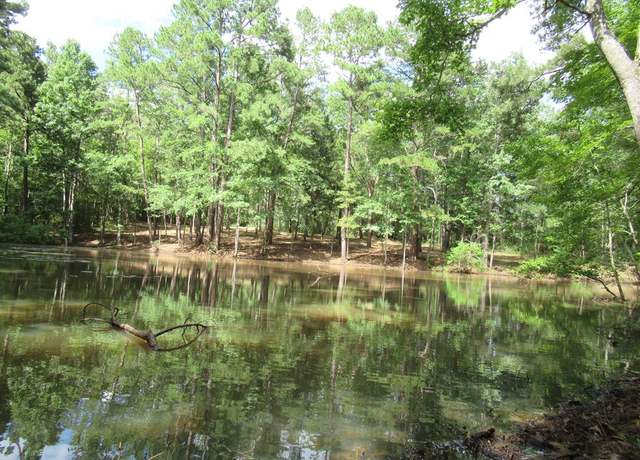 Property at 18.09 ac Fm 343, Nacogdoches, TX 75964