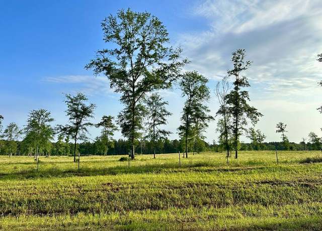 Property at Tract 1 Fm 2261, Shelbyville, TX 75973