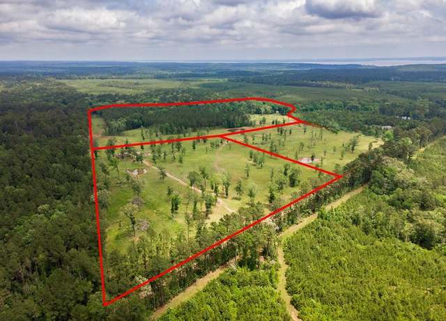 Property at Tract 4 Fm 2261, Shelbyville, TX 75973