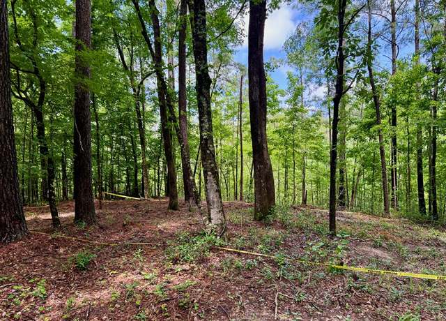 Property at TBD Tanglewood Circle Lot #3, Nacogdoches, TX 75961