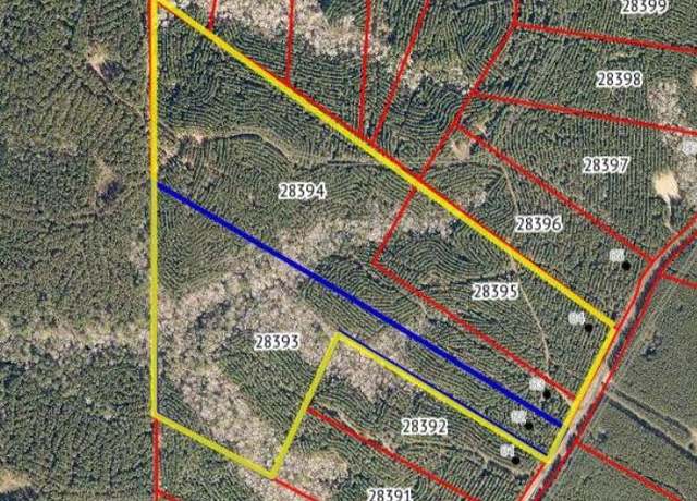 Property at TBD Cr 403, San Augustine, TX 75975