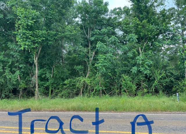 Property at TBD FM 414 (tract A), Center, TX 75935