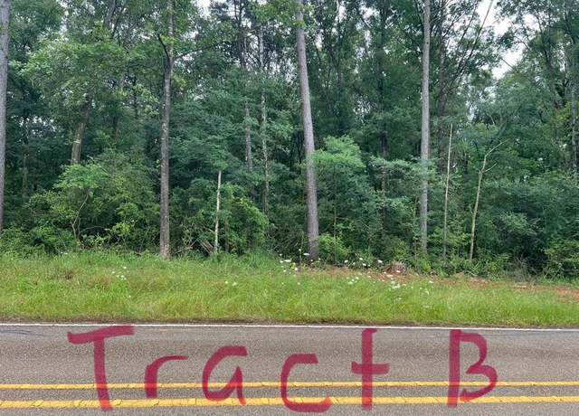 Property at TBD FM 414 (tract B), Center, TX 75935