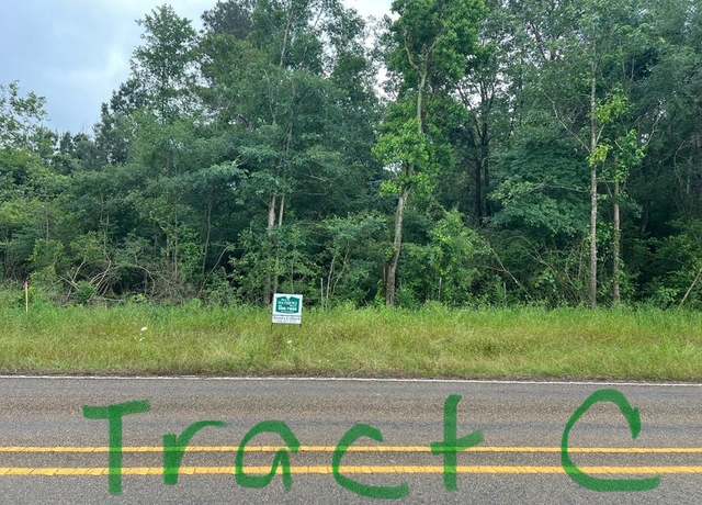 Property at TBD FM 414 (tract C), Center, TX 75935
