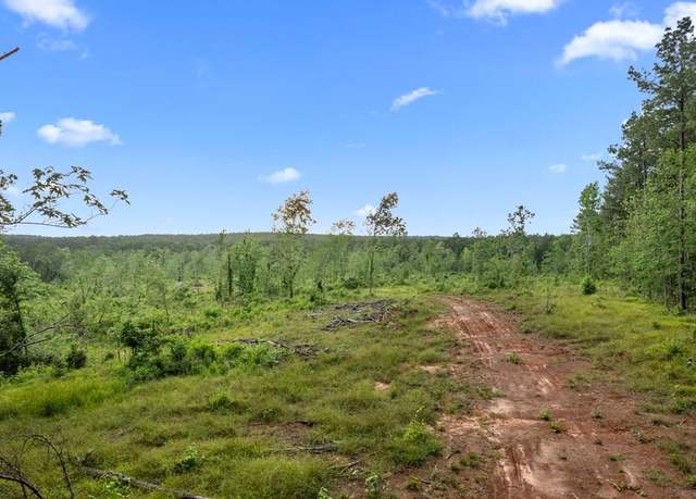 Property at 544 County Road 411, San Augustine, TX 75972