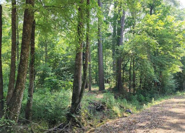 Property at Lot 62 Cr 1090, Center, TX 75935