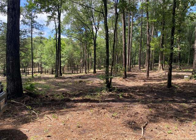 Property at 2123 Cr 3853, Joaquin, TX 75954
