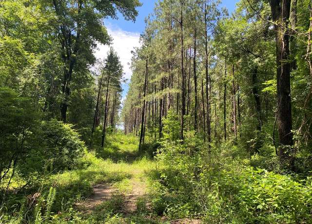Property at TBA-B Cr 3853, Joaquin, TX 75954