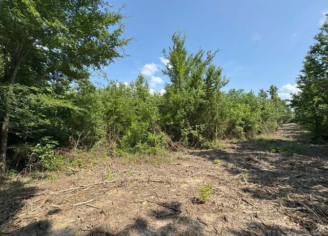Property at TBD County Road 4855, Timpson, TX 75975