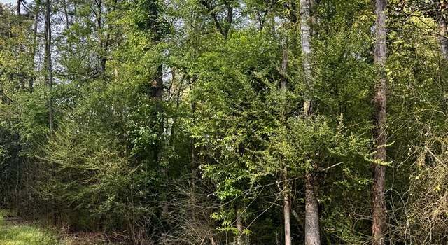 Photo of CR 3143 County Road 3143, Center, TX 75935
