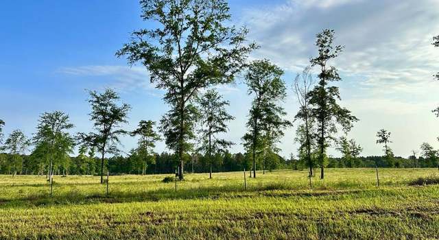 Photo of Tract 1 Fm 2261, Shelbyville, TX 75973