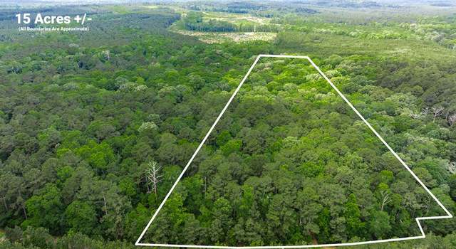 Photo of 15.75 ac Cr 489, Etoile, TX 75944