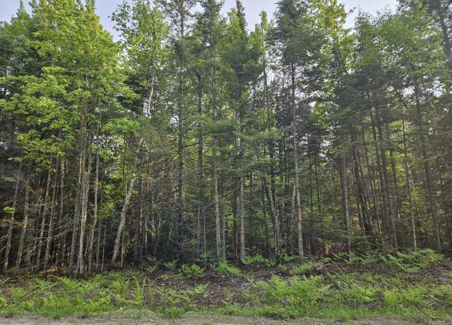 Property at 0 W Cedar Dr, Sault Ste Marie, MI 49783