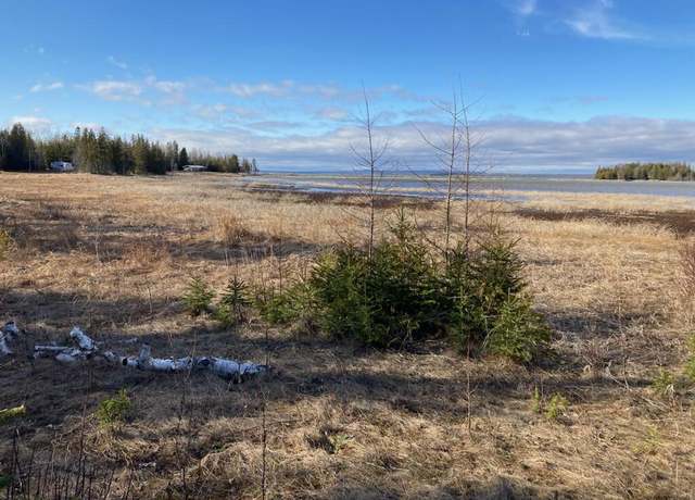 Property at 19811 E Steel Rd, De Tour, MI 49725