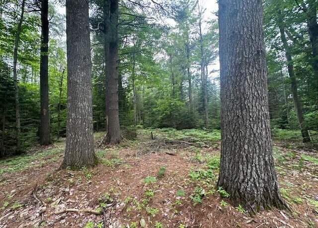 Property at 8.71Ac S M-129, Sault Ste Marie, MI 49783
