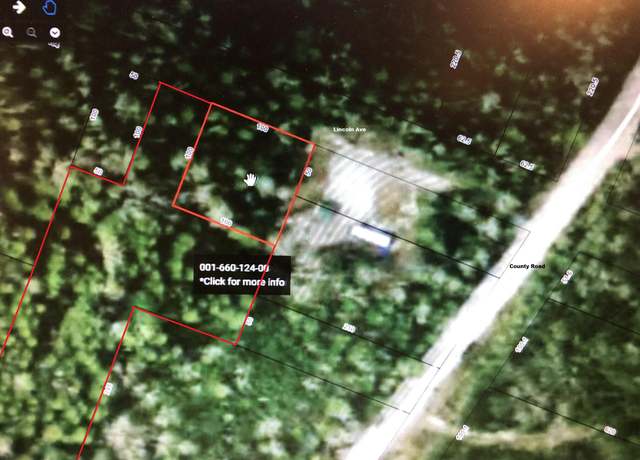 Property at 660121124 Lincoln Ave, Bois Blanc, MI 49775