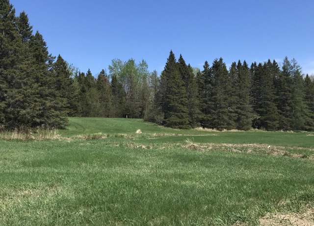 Property at TBD E Sand Ridge Rd, Goetzville, MI 49736
