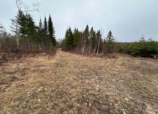 Property at 30Ac M/L W Pendills Lake Rd, Brimley/bay Mills, MI 49715