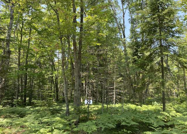 Property at Lot 29 Third Creek Subdivision, Paradise, MI 49768