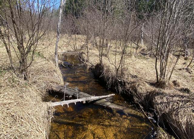 Property at 15534 E M-48, Goetzville, MI
