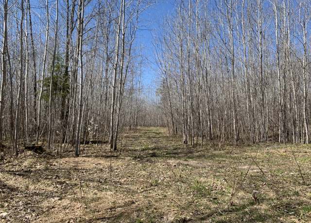 Property at 000 County Road 459, Mcmillan, MI 49853