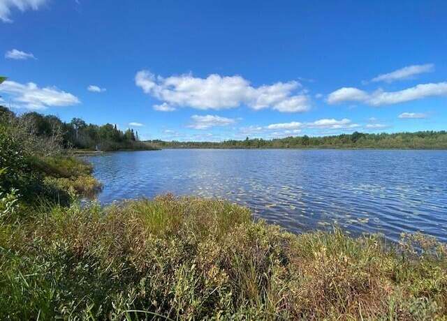 Property at 00 Birch Shores Dr, Trout Lake, MI 49793