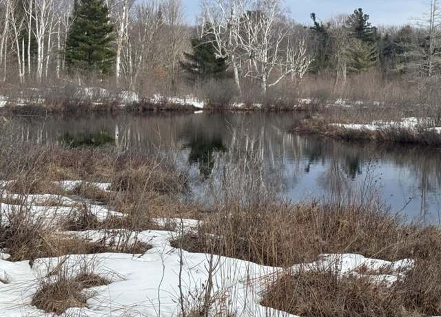 Property at 0 S Riverrun Dr, Trout Lake, MI 49793