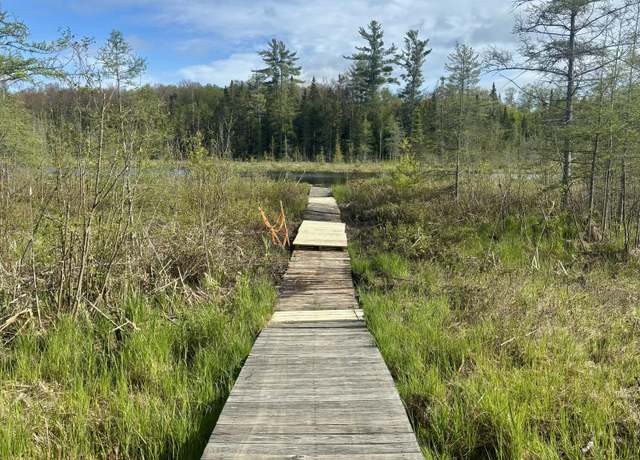 Property at 1065N Powerline Rd, Germfask, MI 49836