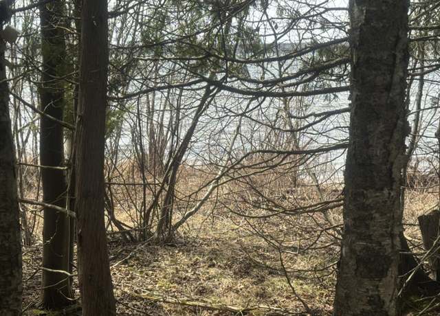 Property at Lot 1 Tressler Dr, Mcmillan, MI 49853