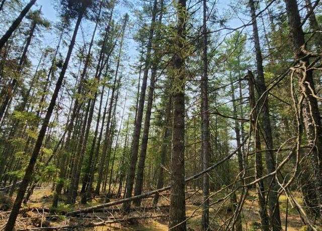 Property at 160 A W St. Ignace Rd, Hessel, MI 49745
