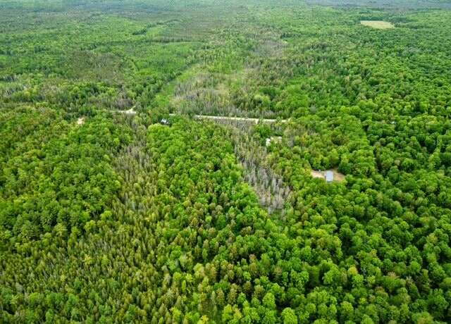 Property at 160 A W St. Ignace Rd, Hessel, MI 49745
