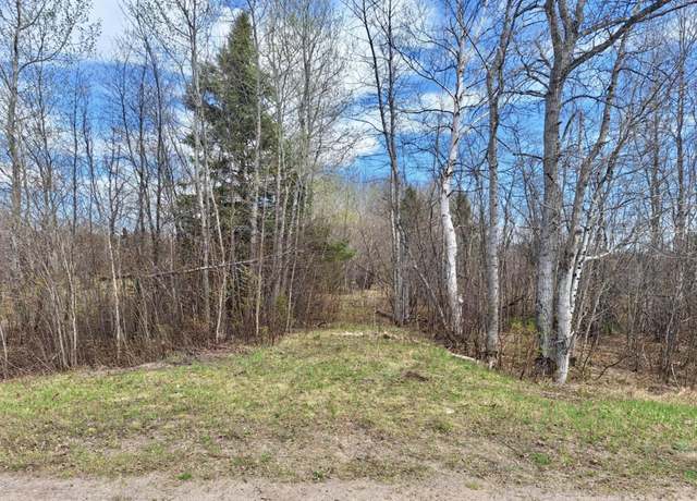 Property at TBD S Piche Rd, Brimley/bay Mills, MI 49715