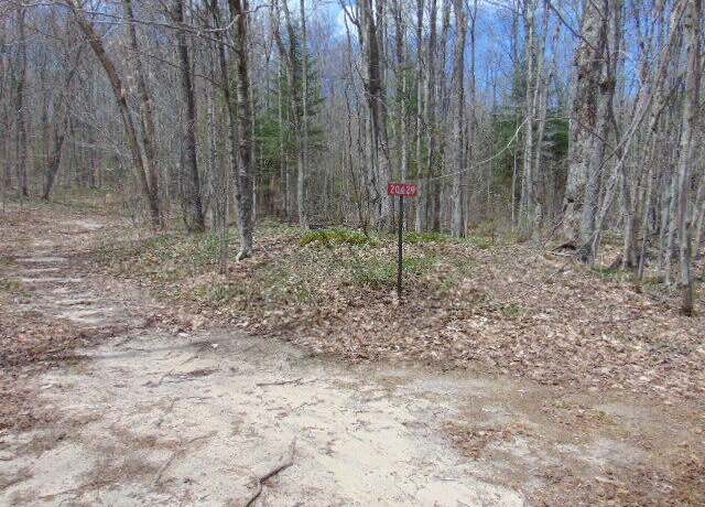 Property at 20429 N Fordney Tower Rd, Newberry, MI 49868