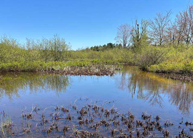 Property at Lot 40 S River Run, Trout Lake, MI 49793
