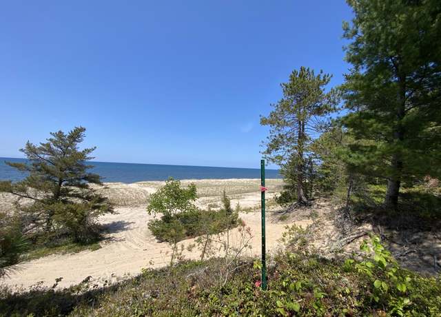 Property at Parcel D W CR 412, Newberry, MI 49868
