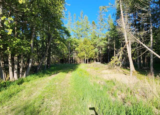 Property at 143 St. Martins Pt Rd, Hessel, MI 49745