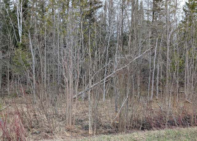 Property at 00 Charles Moran Rd, Moran, MI 49760