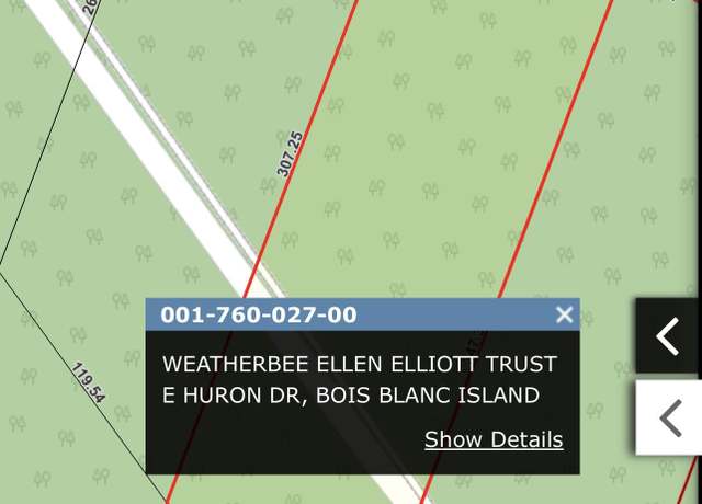 Property at 26 E Huron, Bois Blanc, MI 49775