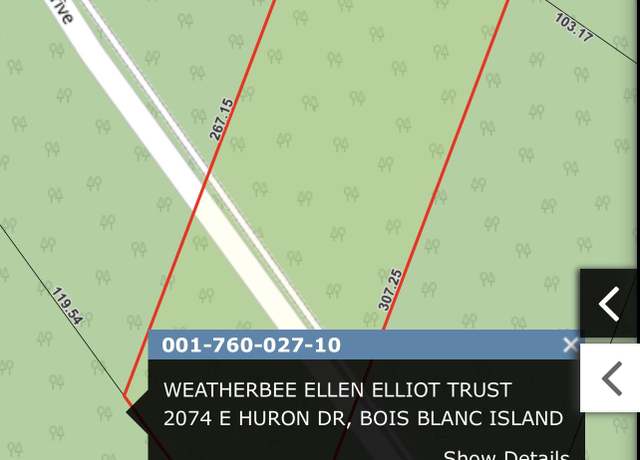 Property at 27 E Huron, Bois Blanc, MI 49775