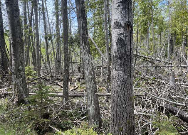 Property at 58 Rocky Rd, Bois Blanc, MI 49775