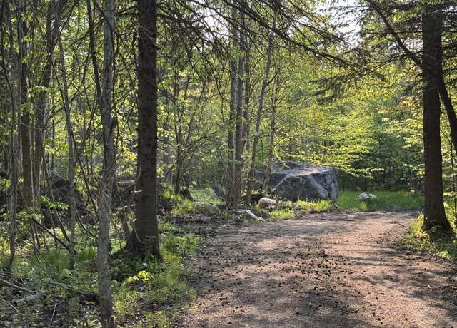 Property at Corner Lowder & Williams Hill Rd, Grand Marais, MI 49839