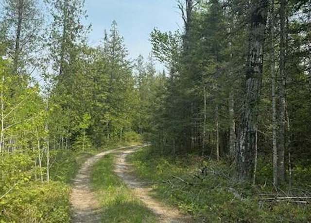 Property at TBD W M-134 Hwy, Hessel, MI 49745