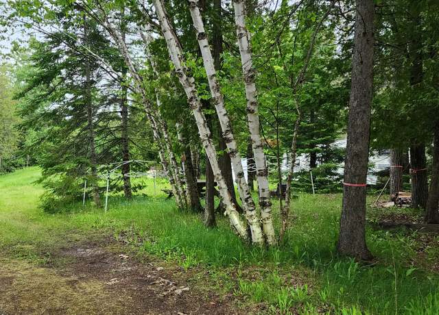 Property at 26928 Point Aux Frenes Rd, Goetzville, MI 49736