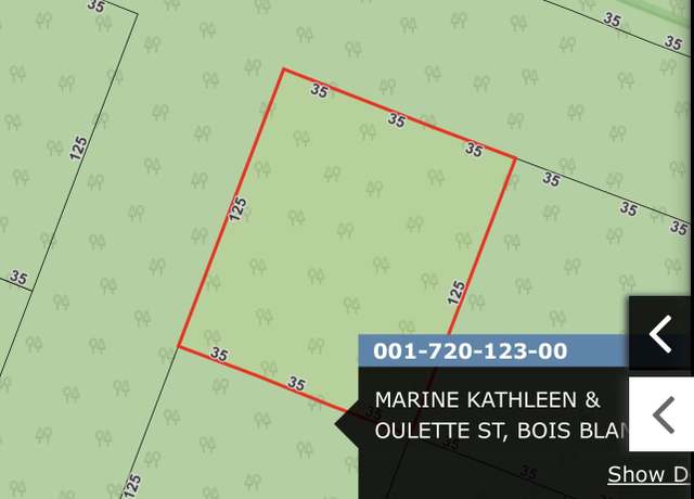 Property at 21-23B11 Oulette, Bois Blanc, MI 49775