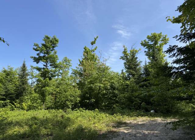 Property at TBD W Piatt Lake Rd, Whitefish Township, MI 49728