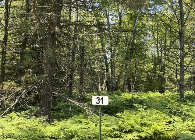 Property at Lot 31 Third Creek Subdivision, Paradise, MI 49768