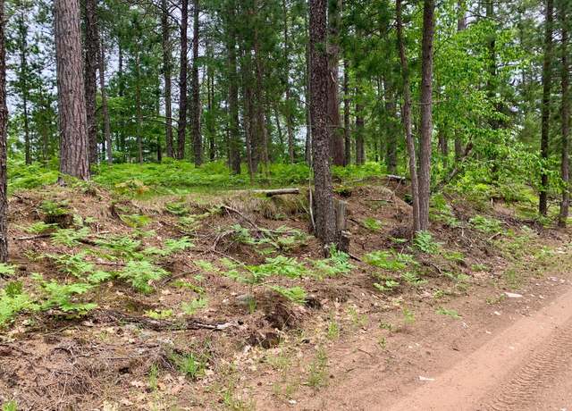 Property at 0 W Betsy River Rd, Paradise, MI 49768