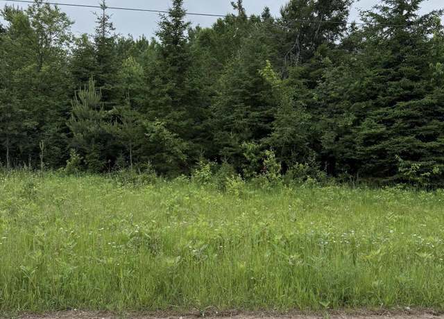 Property at 0000 W Country Rd, Trout Lake, MI 49793