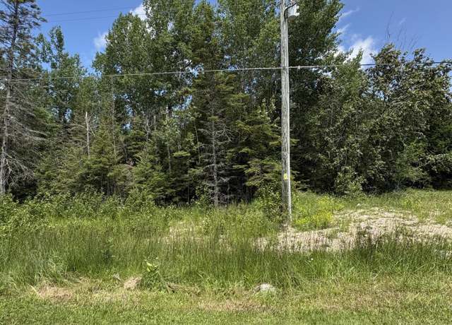 Property at 1207-lot 3 S Hill Island Rd, Cedarville, MI 49719