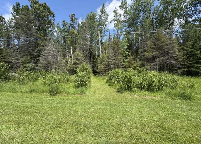 Property at TBD S Hill Island Rd, Cedarville, MI 49719